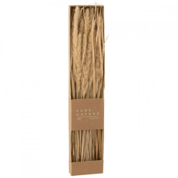 J-Line getrocknetes Gras mit Rispen in einer Schachtel, naturfarben, 60 cm