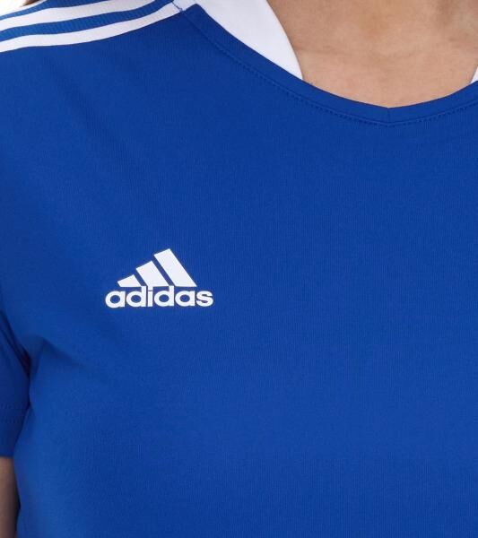 adidas TIRO 21 Trikot Damen Trainings-Shirt mit AeroReady aus recyceltem Material Sport-Shirt Fitness-Shirt GM7583 Blau