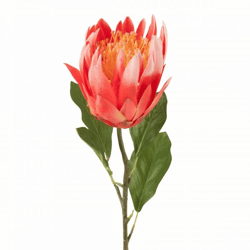 J-Line Kunstblume Protea rot 68 cm