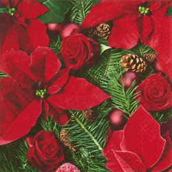20 Napkins / Napins 33 x 33 cm - Poinsettia with Fir - Christmas