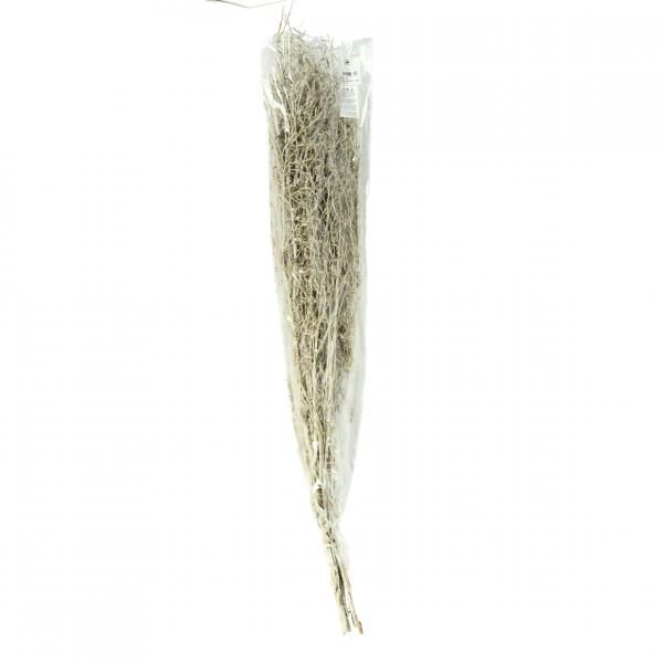 Bündel getrocknetes Chiligras weiß 85-95 cm