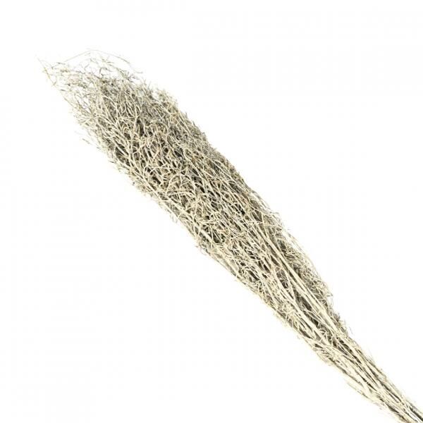 Bündel getrocknetes Chiligras weiß 85-95 cm