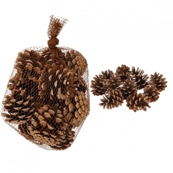 Wohnaccessoires: Tannenzapfen im Netz, 6 cm