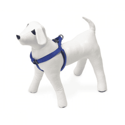 Karlie Dog Harness S Step & Go Blue