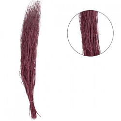 Bundel gedroogd coriander roze 70 cm