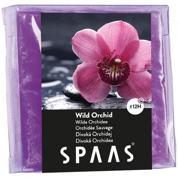 (R) Spaas Wachsmotten Wilde Orchidee 6,5 cm