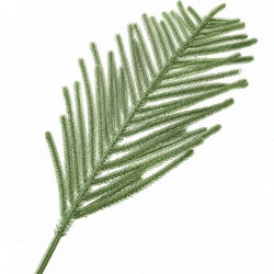 Kunsttanne „Pine“ 109 cm