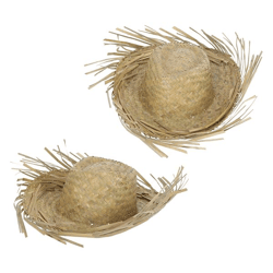 Hat Straw hat, one size
