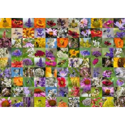 99 Bees - Puzzle 1000 pieces