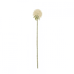J-Line-Blume Allium, weiß, 44 cm