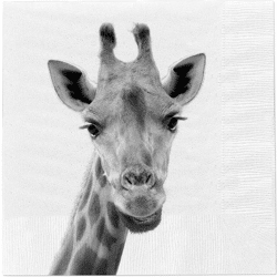 Giraffe Napkins, Pack of 20