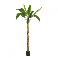Everlands Artificial Banana Plant, Potted, 200 cm