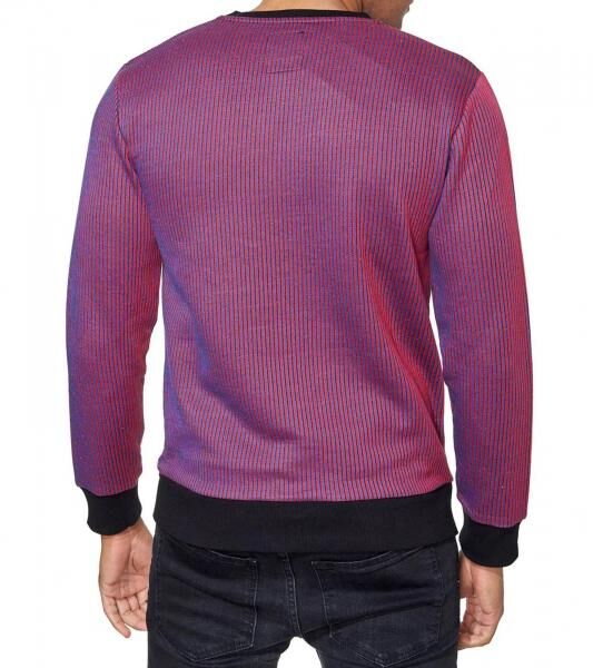 Trendiger Rundhals-Pullover f&uuml;r Herren mit gro&szlig;em Tiger-Print und Streifen-Design Sweater Sweatshirt 19143 Rot