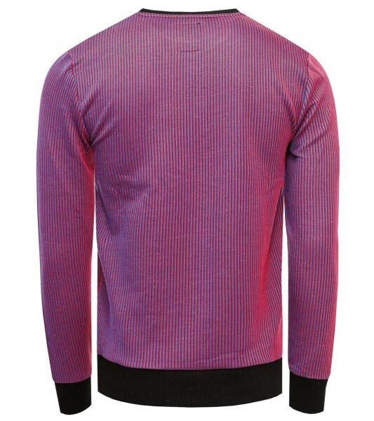 Trendiger Rundhals-Pullover f&uuml;r Herren mit gro&szlig;em Tiger-Print und Streifen-Design Sweater Sweatshirt 19143 Rot