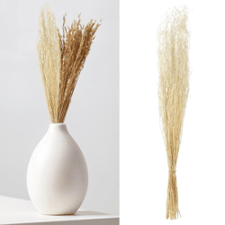 Dried coriander grass, bunch, approx. 85-90cmH