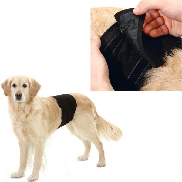 Karlie Bauchband für Hunde 59 x 19 cm