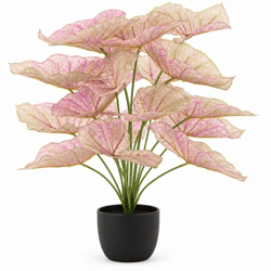 J-Line Kunstpflanze Caladium im Topf, rosa/grün, 57 cm