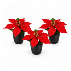 Artificial Poinsettia in a 16 cm Pot, Set of 3