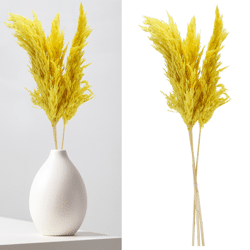 Pampasgras, gelb, 3er Bund, ca.90-100cmL