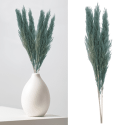 Pampasgras, blau, 3er Bund, ca.100-115cmL