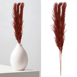 Pampasgras, braun, 3er Bund, ca.140-160cmL