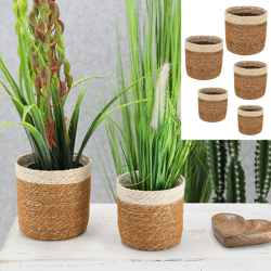 Pflanzkorb, Seegras, 5er Set, natur/weiß