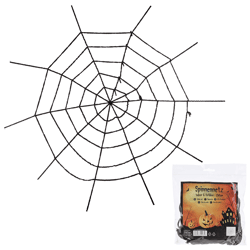 Spinnennetz 
