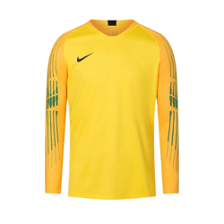 NIKE Gardien II Herren Torwarttrikot mit Dri-FIT ADV-Technologie Fußball-Sport-Shirt 898043-719 Gelb