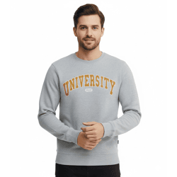 11 PROJECT Davin Herren Sweater mit UNIVERSITY Frontprint Baumwoll-Sweatshirt 20715943 200274 Grau