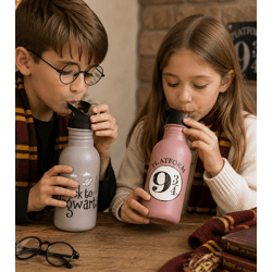 Harry Potter Trinkflasche „Hogwarts Express“ oder „Back to Hogwarts“ 500 ml Edelstahl Trinkflasche im magischen Design Rosa oder Gr
