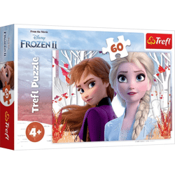 Disney Frozen - Zauberhafte Welt von Anna + Elsa 2 - Puzzle 60 Teile