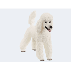 Schleich 13917 - Farm Pudel