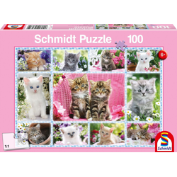 Katzenbabys - 100 Teile Puzzle