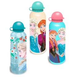 Frozen / Die Eiskönigin - Aluminium Trinkflasche im Display - 500 ml