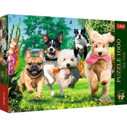 Hunde - Puzzle Premium Plus 1000 Teile