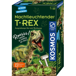 Kosmos 658021 - Noctilucent T-REX