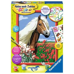 Haflinger - Malen nach Zahlen