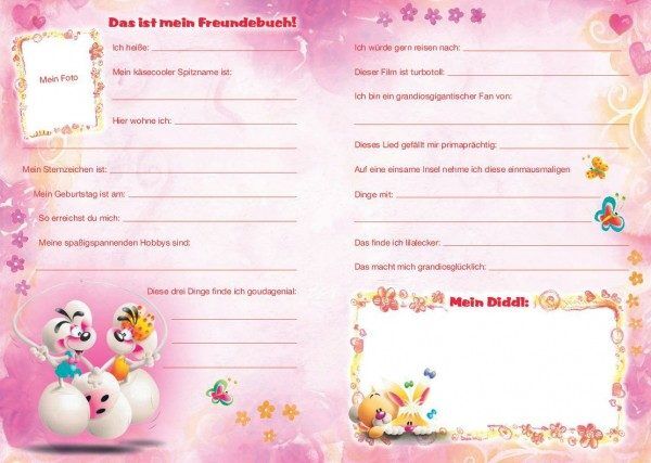 Diddl Freundebuch - Meine Freunde