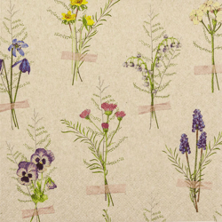 Spring Herbarium - Lunch-Servietten - 33 x 33 cm