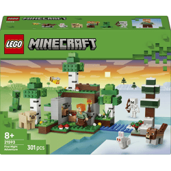 LEGO® 21593 Minecraft™ - Erstes Abenteuer in der Nacht (301 Teile)