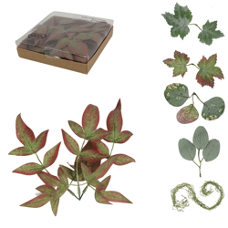 Home Accents decoratie bladeren/tillandsia 12 cm 6 assorti