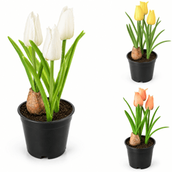 Boltze Artificial Potted Tulip, 20 cm, 3 Assorted