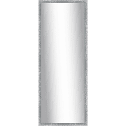 Len-Fra wandspiegel Sarah 46 x 136 cm 60 stuks