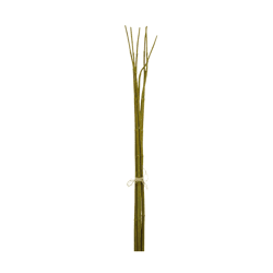 J-Line bundel bamboetakken groen 75 cm