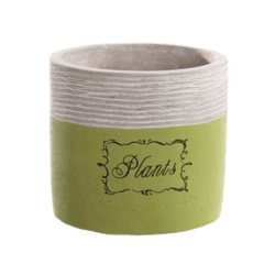 Bloempot Plants groen 11 cm