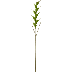 J-Line künstlicher Zweig Heliconia grün 141 cm