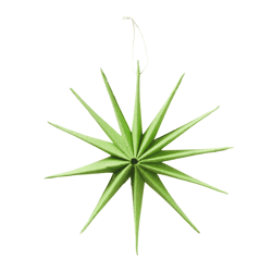 Boltze kerstster Kassio groen 20 cm