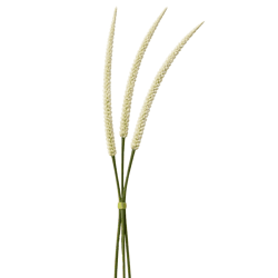 J-Line kunsttak Foxtail bundel wit 119 cm