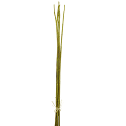 J-Line bundel bamboetakken groen 110 cm