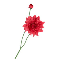 Artificial flower Dahlia Spike red 78 cm